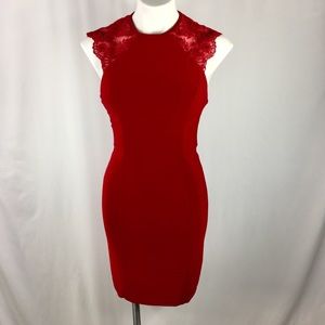 NWT Faviana Ruby Lace Detail Sheath Dress